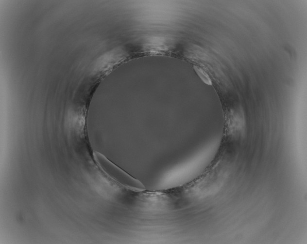 X0000111910427200908031141