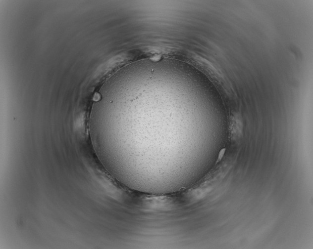 X0000111910428200908031141