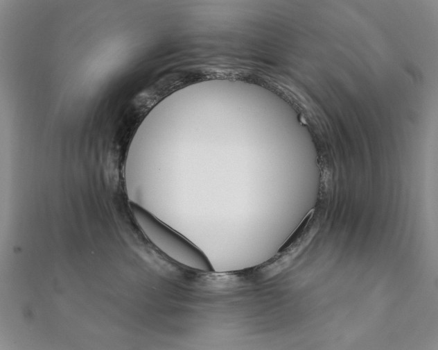 X0000111910429200908031141
