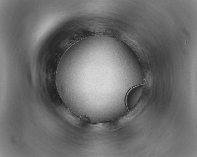 X0000111910430200908031141