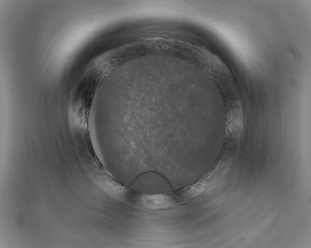 X0000111910431200908031141