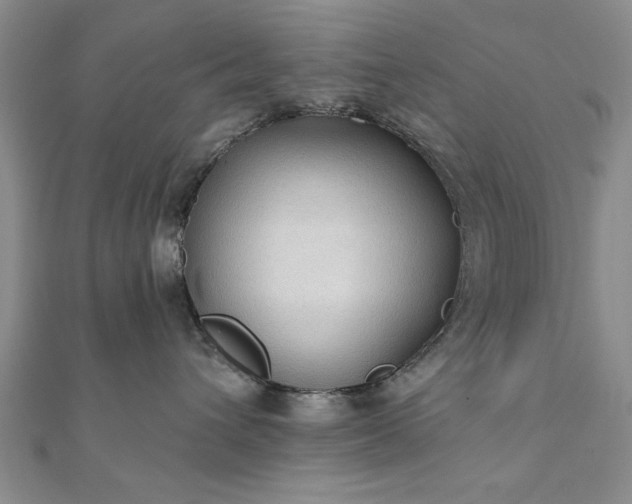 X0000111910432200908031141