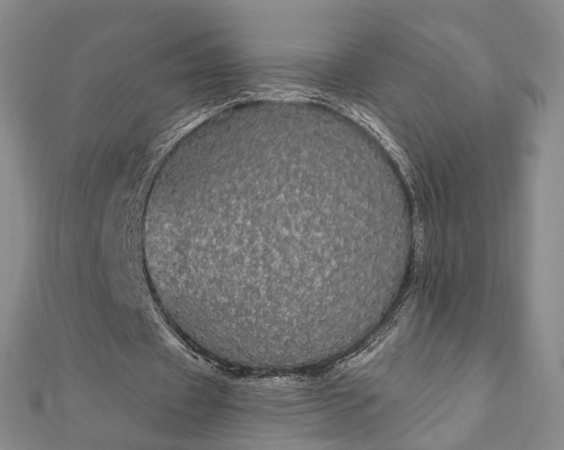 X0000111910433200908031141