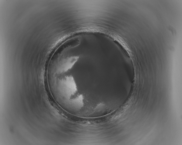 X0000111910434200908031141
