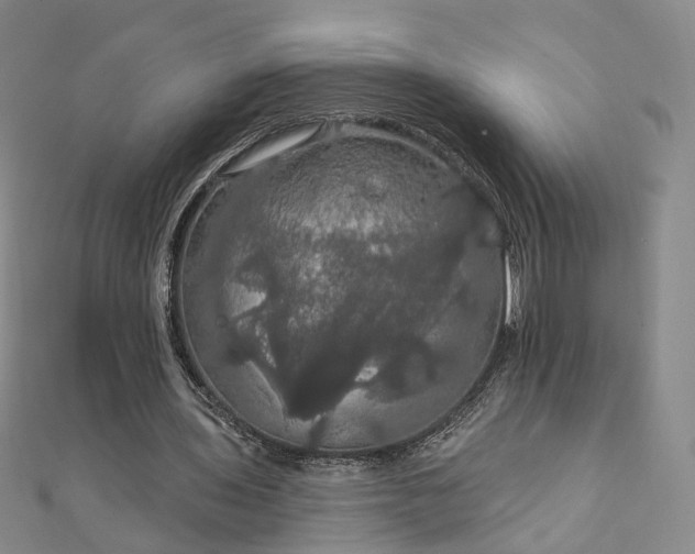 X0000111910435200908031141