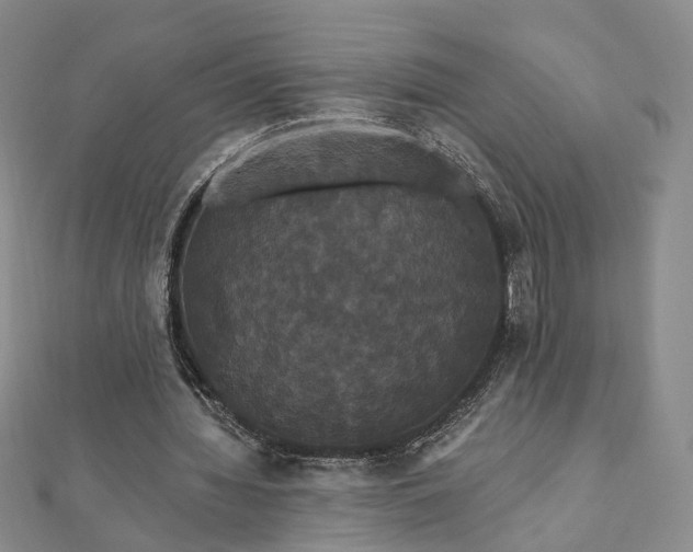 X0000111910436200908031141