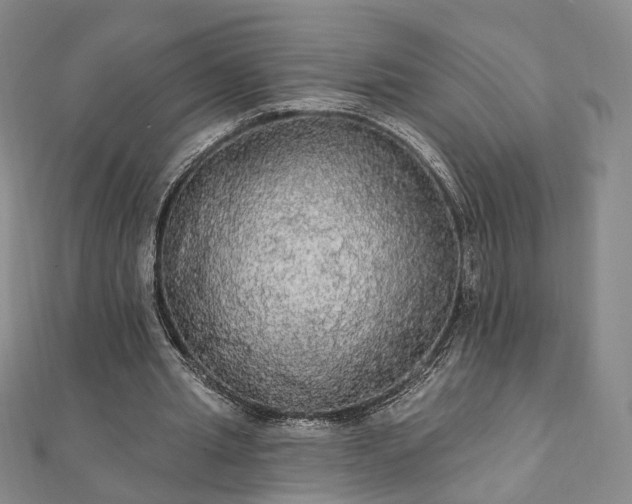 X0000111910437200908031141