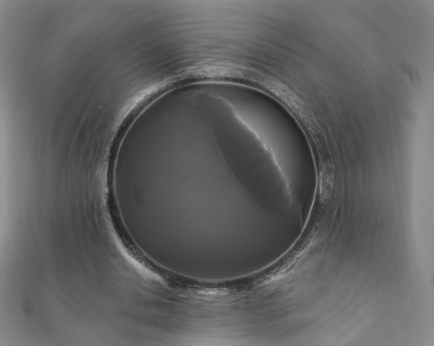 X0000111910438200908031141