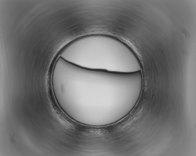 X0000111910439200908031141
