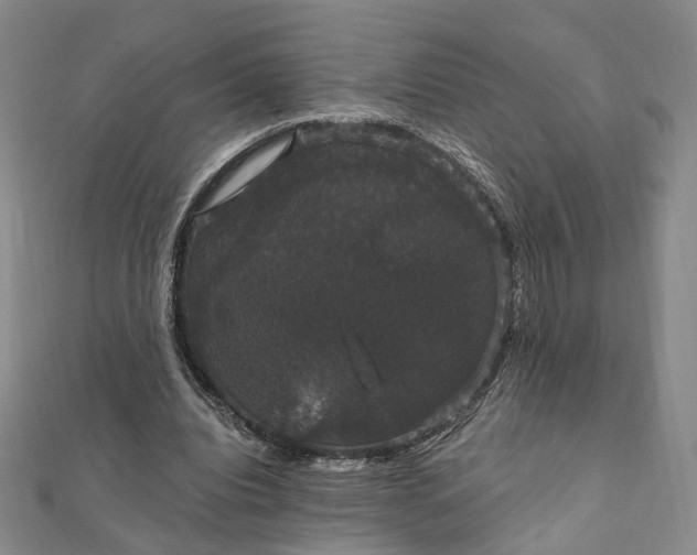 X0000111910440200908031141