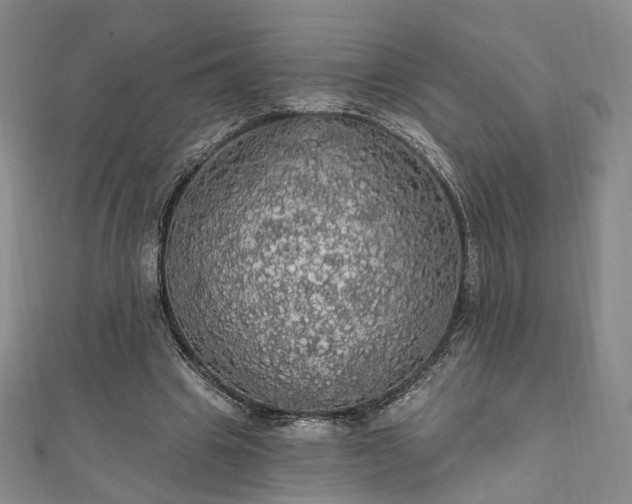 X0000111910441200908031141