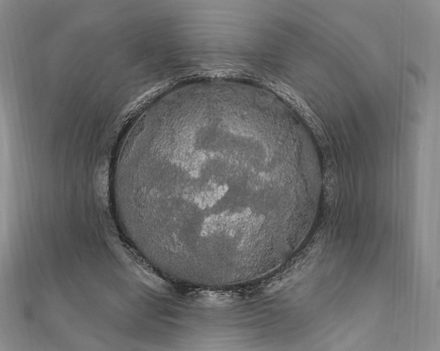 X0000111910442200908031141