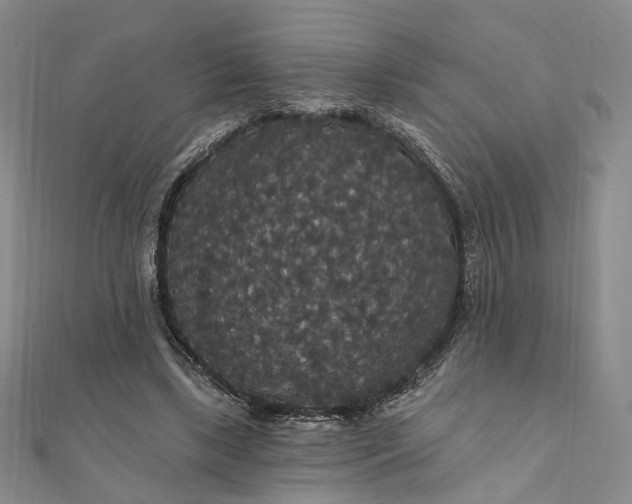 X0000111910443200908031141