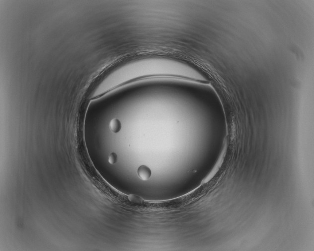 X0000111910444200908031141
