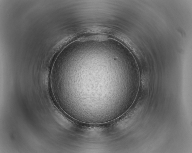 X0000111910445200908031141