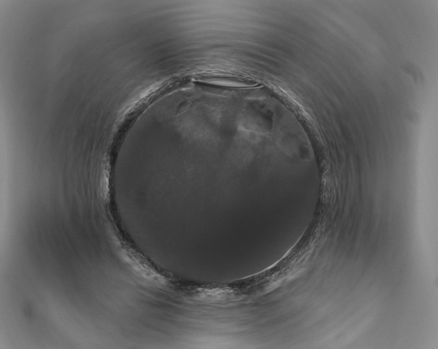 X0000111910446200908031141