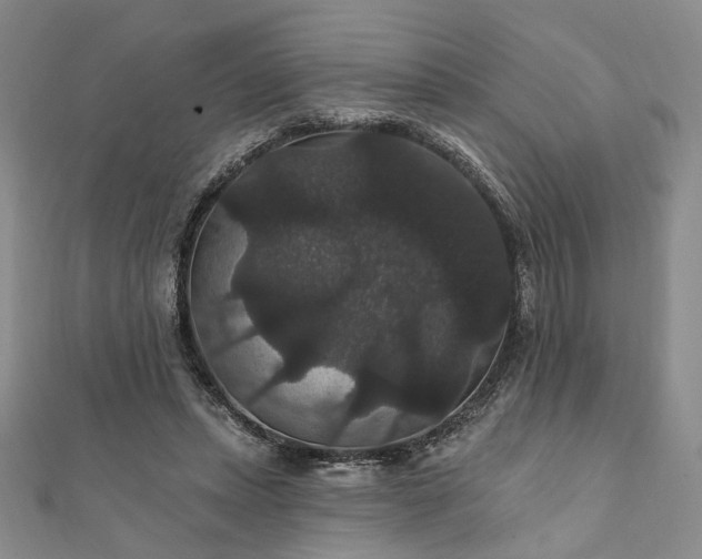 X0000111910447200908031141