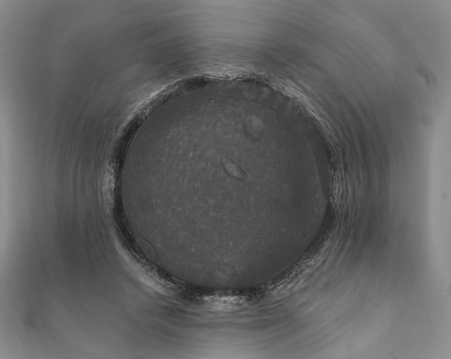 X0000111910448200908031141