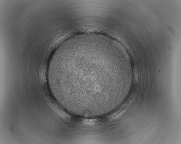 X0000111910450200908031141