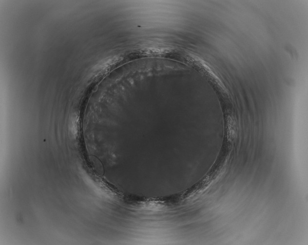 X0000111910451200908031141