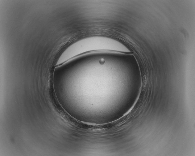 X0000111910452200908031141