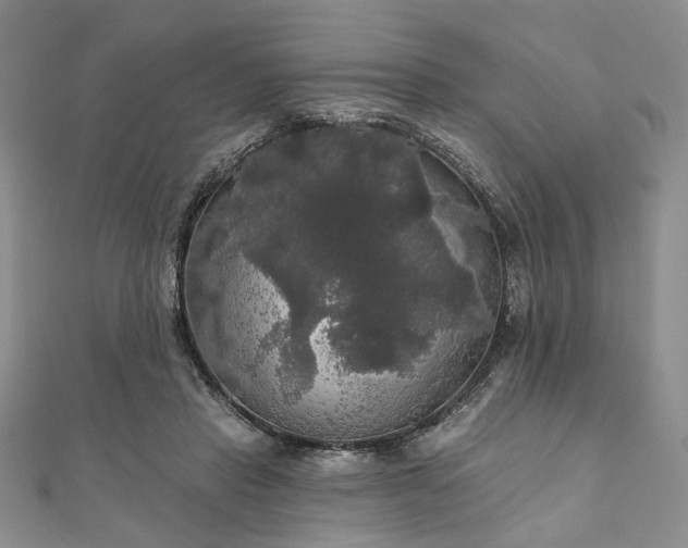 X0000111910453200908031141