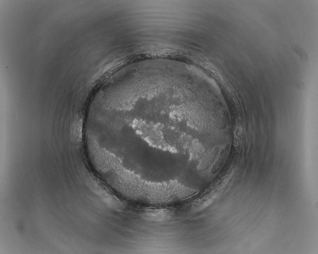 X0000111910454200908031141