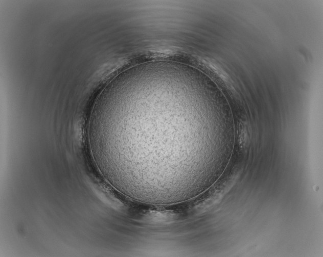 X0000111910455200908031141