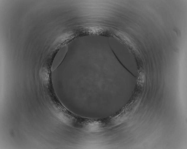 X0000111910456200908031141