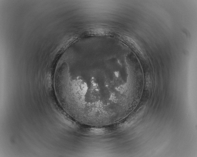 X0000111910457200908031141