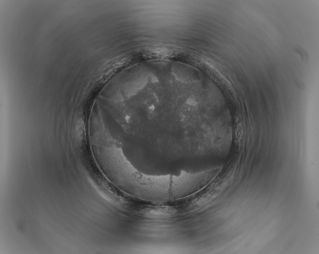 X0000111910459200908031141