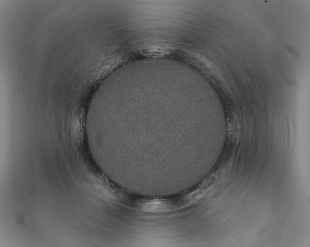 X0000111910460200908031141