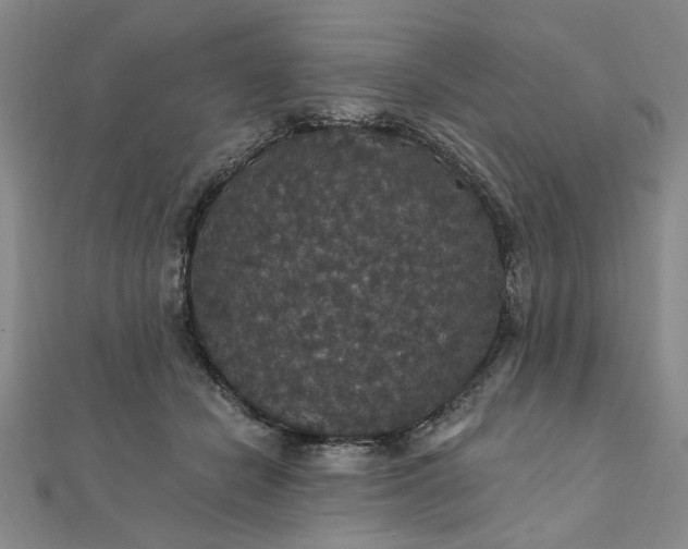 X0000111910462200908031141