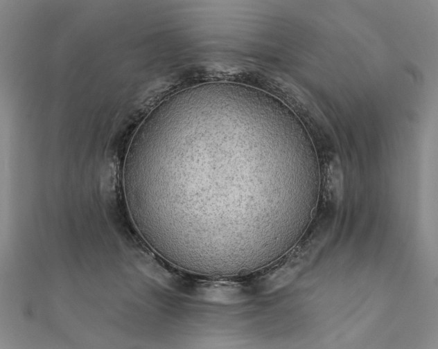 X0000111910463200908031141