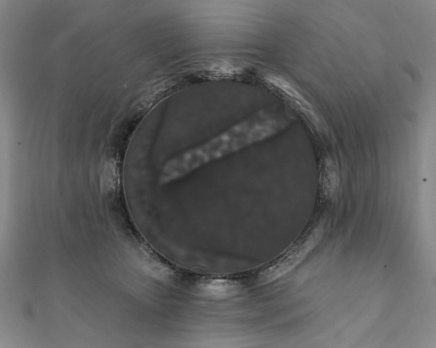 X0000111910467200908031141