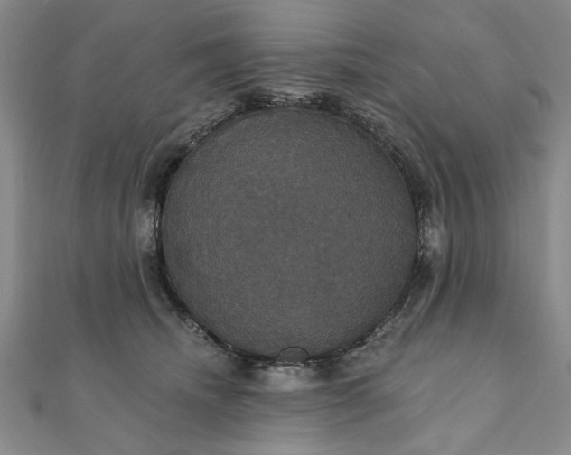 X0000111910468200908031141