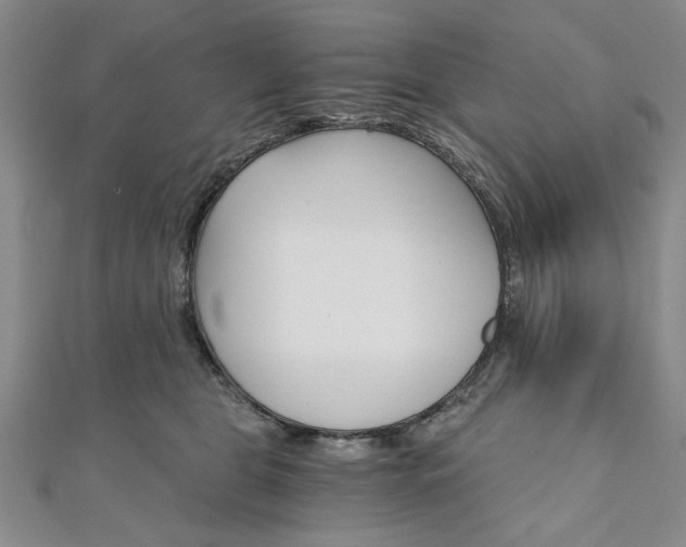 X0000111910469200908031141