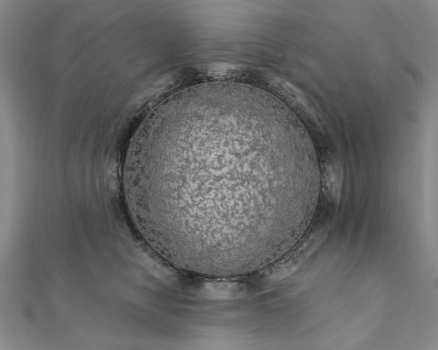 X0000111910470200908031141
