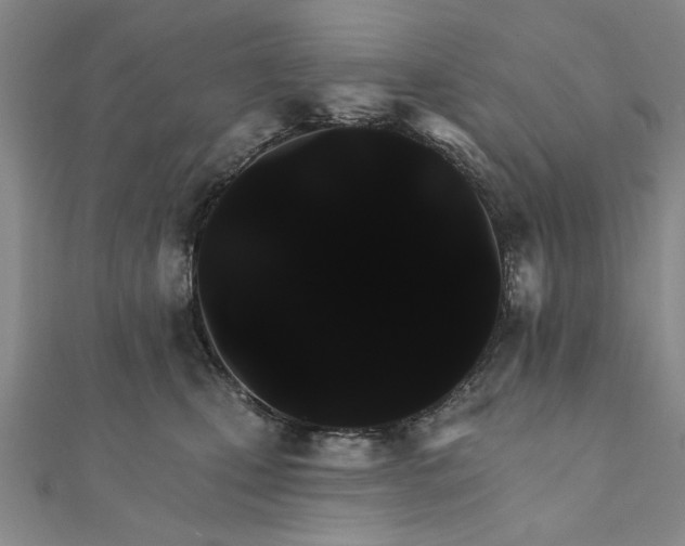 X0000111910471200908031141