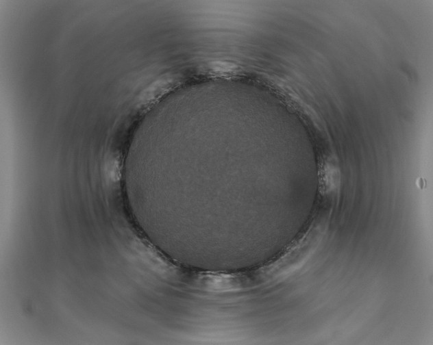 X0000111910472200908031141