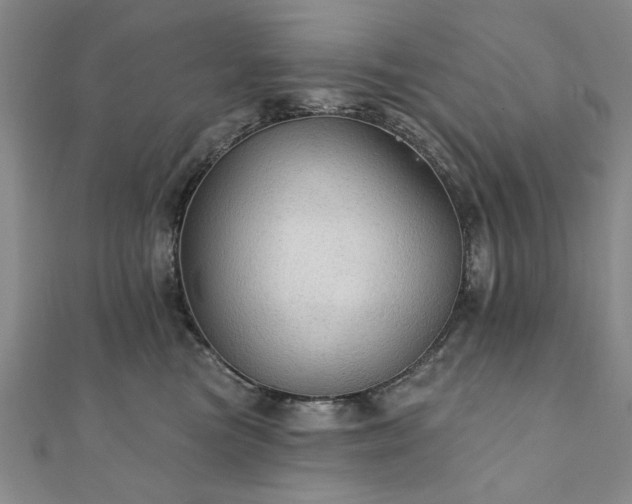 X0000111910473200908031141