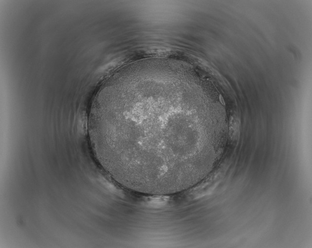 X0000111910474200908031141