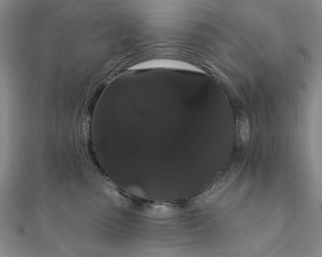X0000111910475200908031141