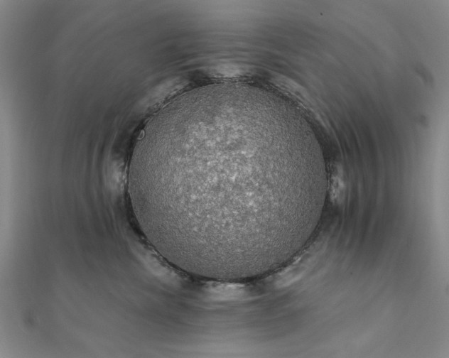 X0000111910476200908031141