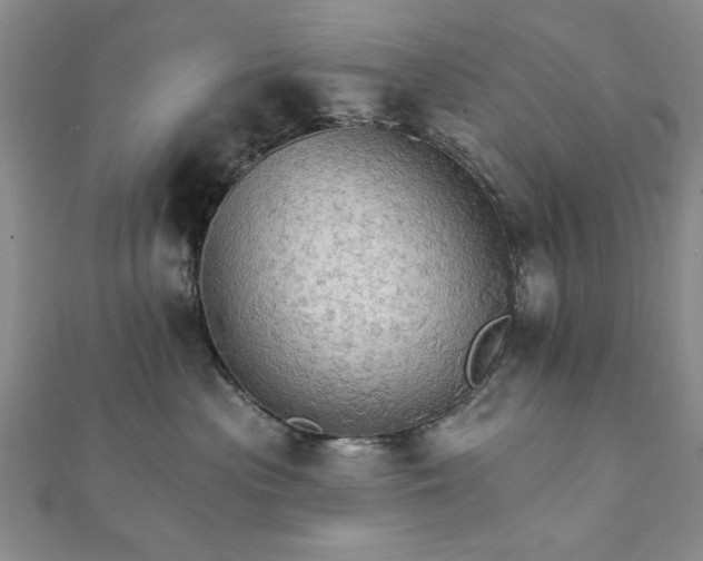 X0000111910477200908031141