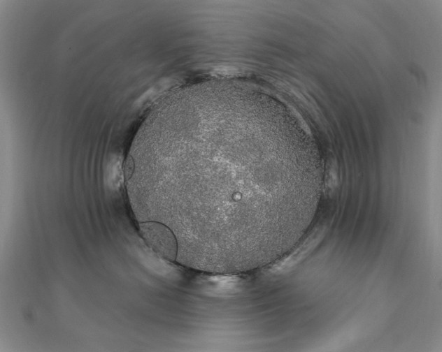 X0000111910478200908031141