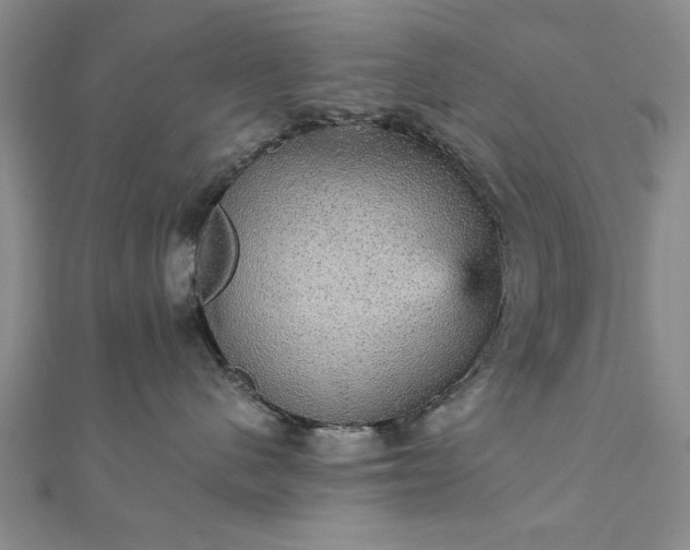 X0000111910480200908031141