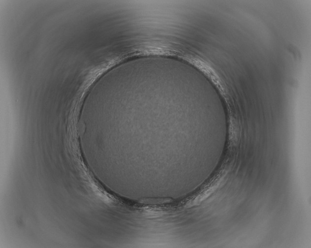 X0000111910481200908031141