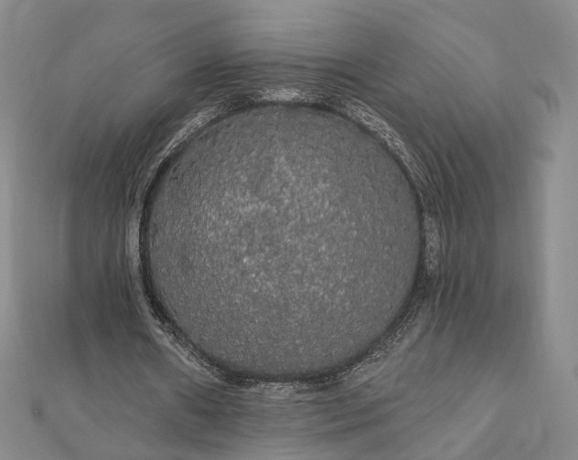 X0000111910482200908031141