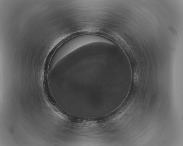 X0000111910484200908031141